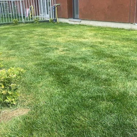 דירה Dream Garden With Free Parking סינאיה